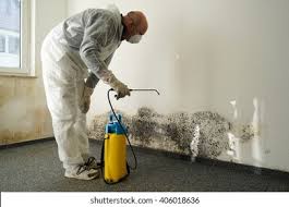 Mold Odor Removal Services in Monroeville, OH